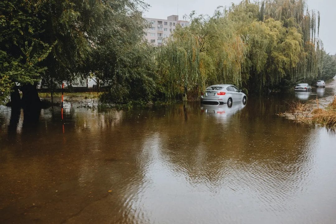 How to Spot a Flood-Damaged Car Before You Buy It